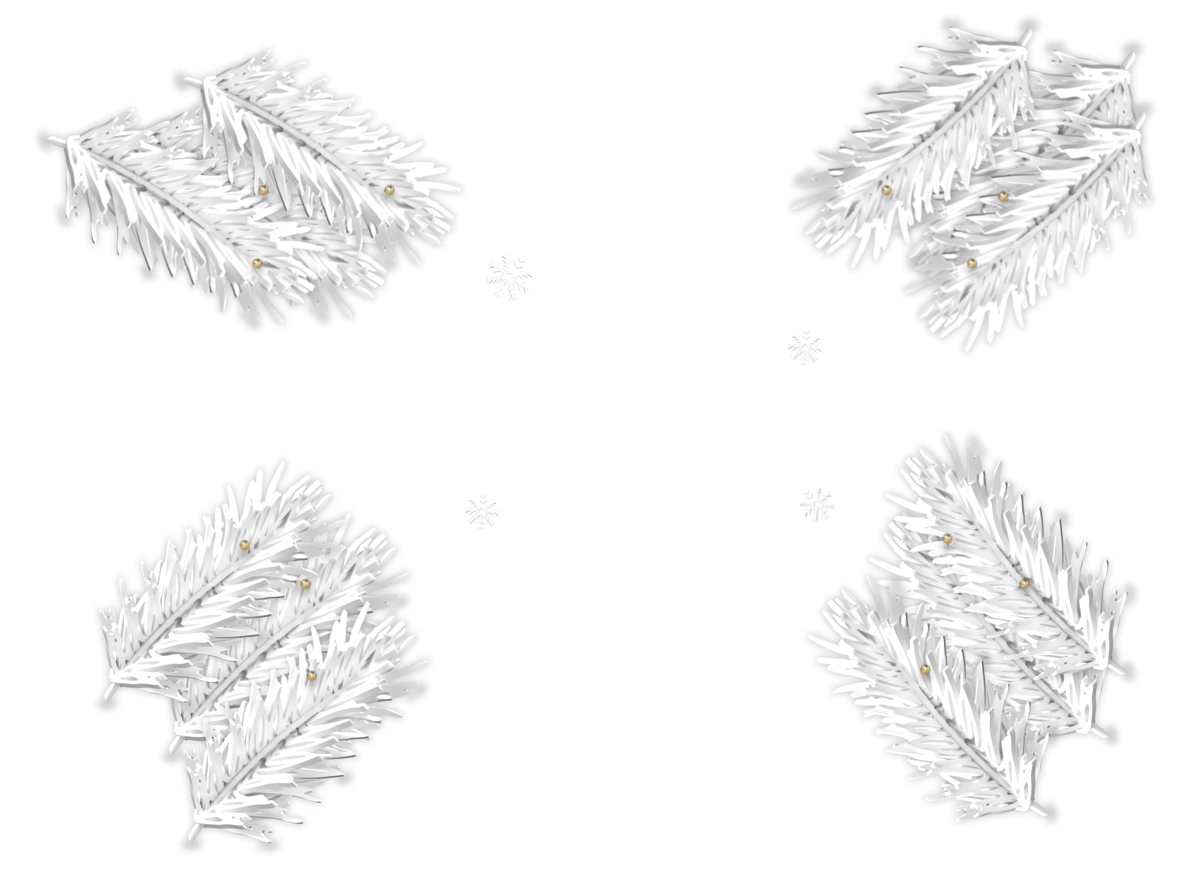 Ośnieżona gałązki drzewa iglastego.